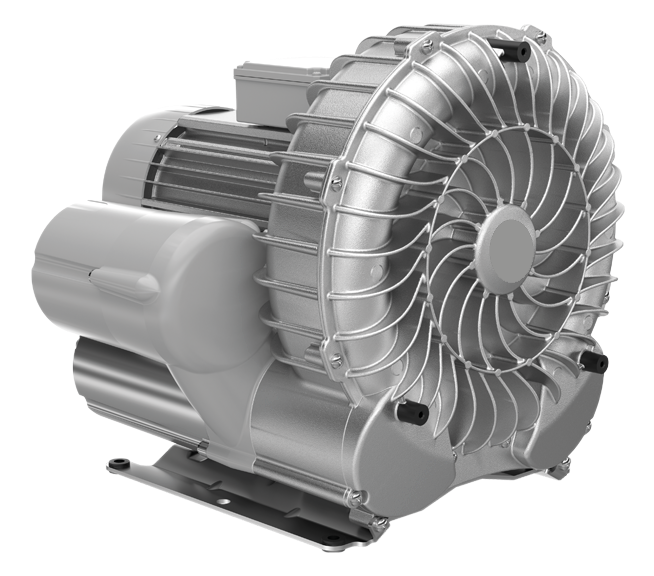 Regenerative blowers